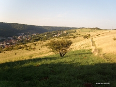 Une dénivellation intéressante en Moselle, le fond de la vallée est à 240 mètres contre 380 mètres pour la crête à cet endroit